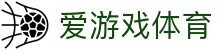爱游戏体育官网 - 全球千万体育迷首选官方全站下载与登录中心